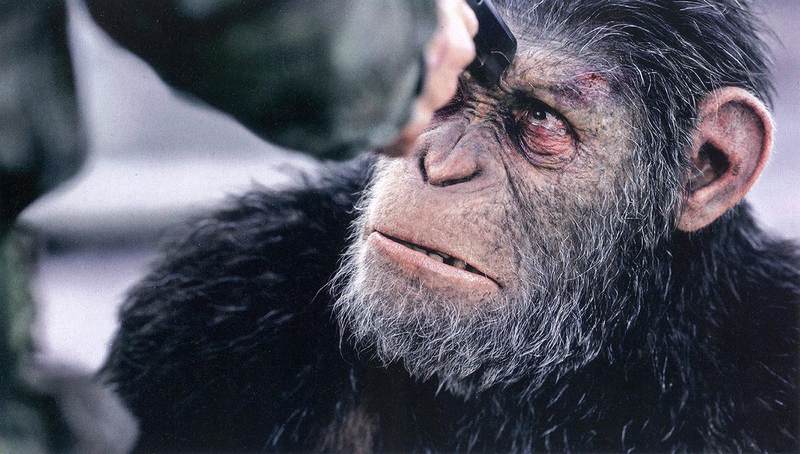 不是怕ai人类只是怕比自己强大的物种